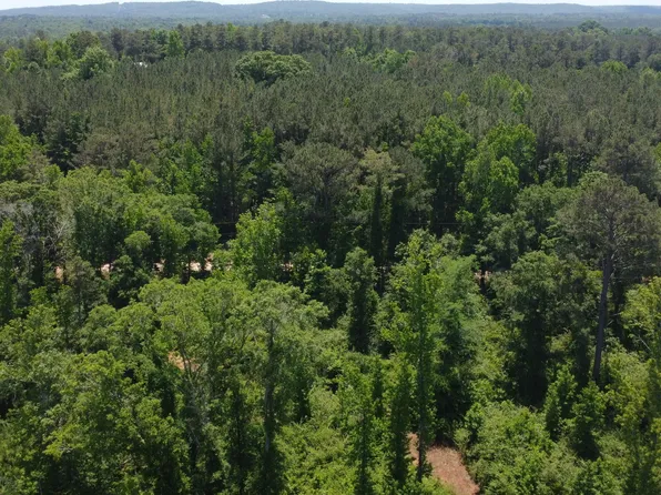 2 Roosevelt Hwy, Warm Springs, GA 31830