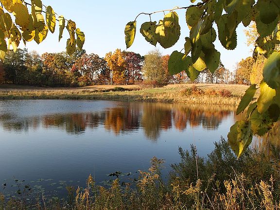 5th image of 12507 Jackson Rd