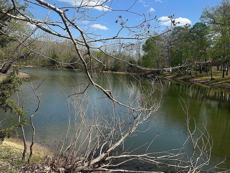 1st image of Vacant Lot Honey Bear Loop