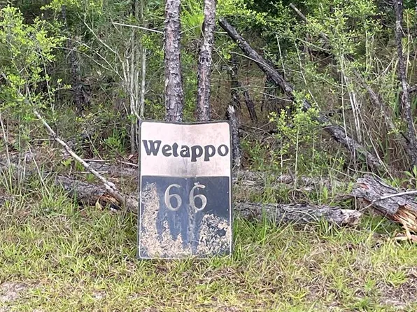 LOT 66 Wide Water Cir, Wewahitchka, FL 32465