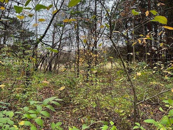 2nd image of 9634 Greenview Ct