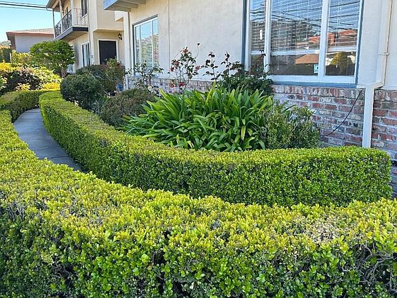 3rd image of 2728 Flores St