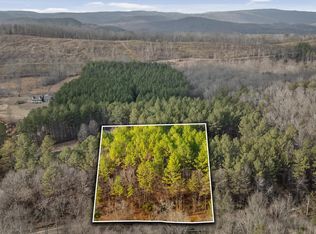 14675 Stormer Rd, Sale Creek, TN 37373