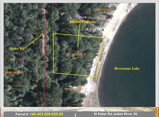 W Slater Rd, Indian river, MI 49749
