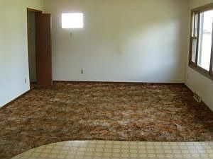 3rd image of 407 S Larabee St