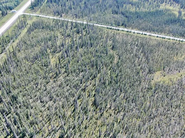 Mi 94 Richardson Hwy, Copper Center, AK 99573