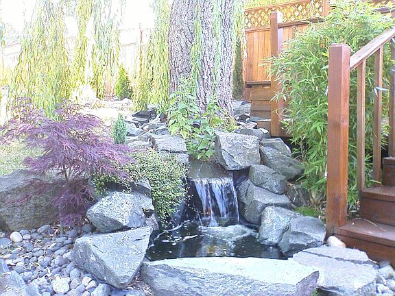 Water Feature July 2008