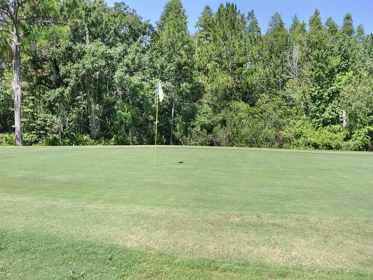 10th green