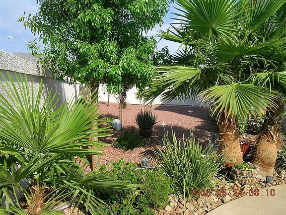 side yard full RV park