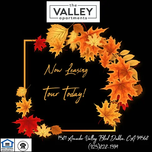 The Valley Apartments — Photo 34