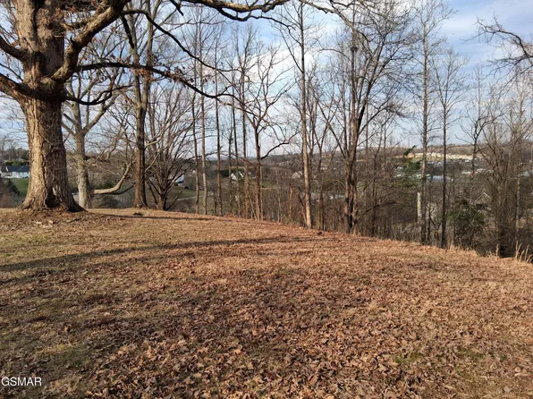 LOT 5 Sandpiper Ct, Kodak, TN 37764