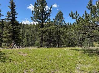 209 Kenosha Circle, Divide, CO 80814