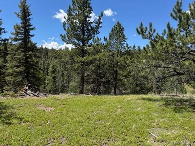 209 Kenosha Circle, Divide, CO, 80814