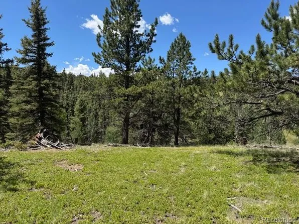 209 Kenosha Circle, Divide, CO 80814