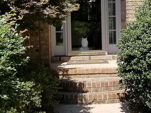 Front door