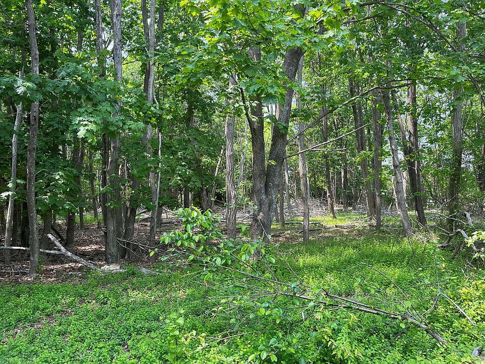 2nd image of 3 Basket Neck Ln