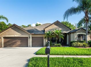 14815 Ninebark Ct, Land O Lakes, FL 34638