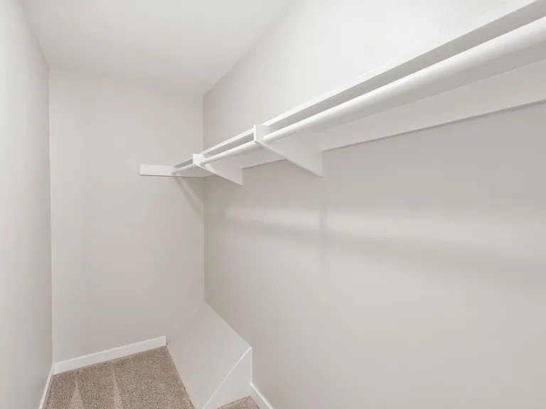 3908 Camphor Ln — Photo 17
