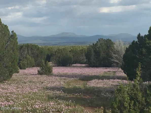 62 N 3106th, Vernon, AZ 85940