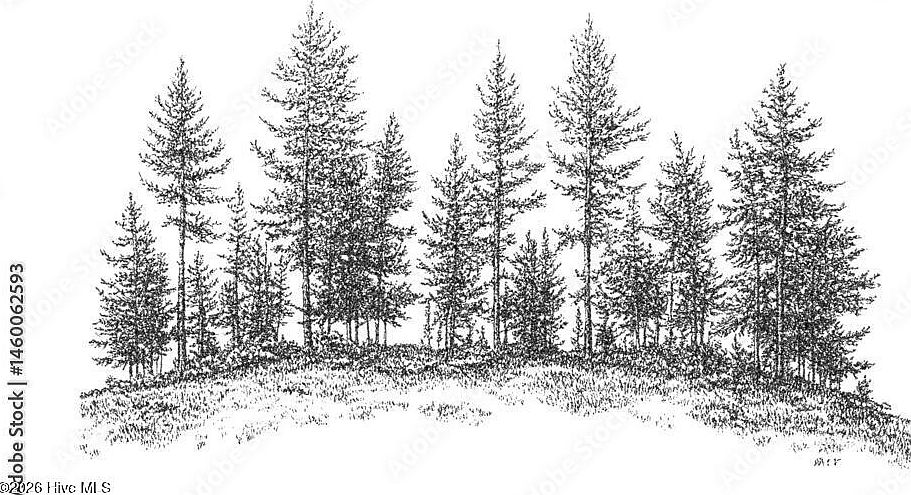 1st image of 0 Longview Dr E