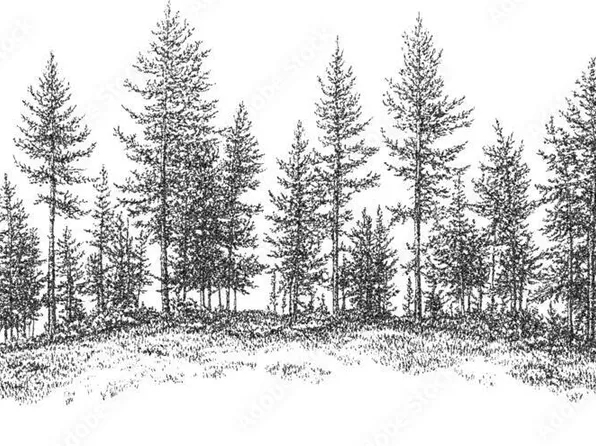 0 Longview Dr E, Wilson, NC 27893