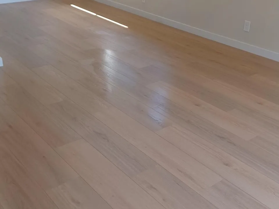 Diningroom and livingroom