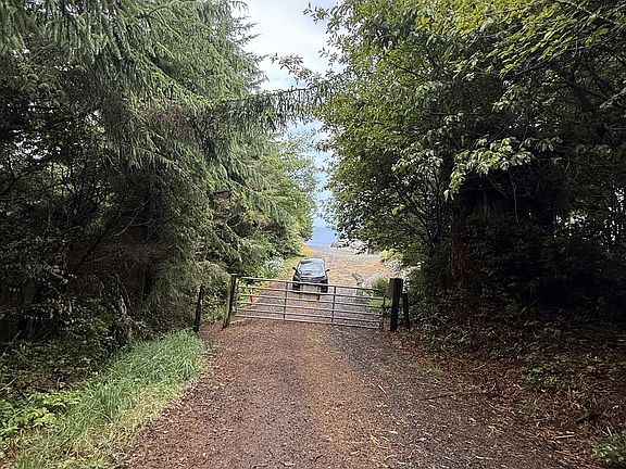 5th image of Terrace Dr