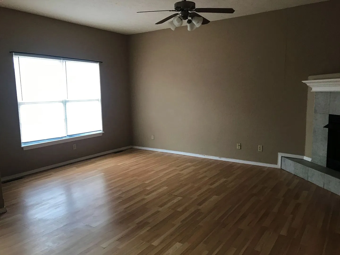Fantastic Location - sits on a dead end street! — Photo 3