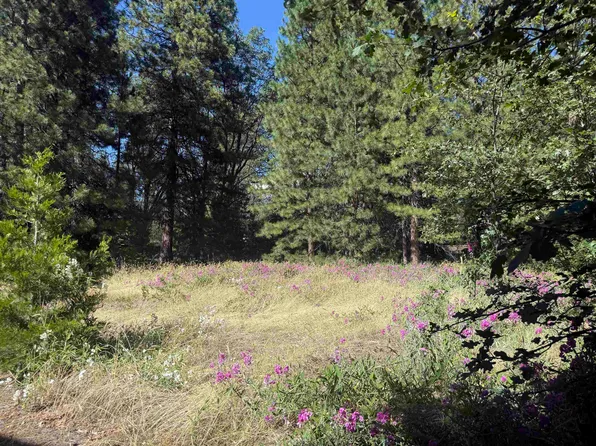 Hercules Dr, Mount Shasta, CA 96067