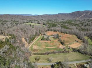 10845 Traphill Rd, Traphill, NC 28685