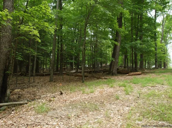 0 Beaverkill Road, Olive, NY 12461