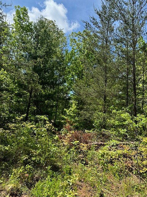 2nd image of LOT 12 Paradise