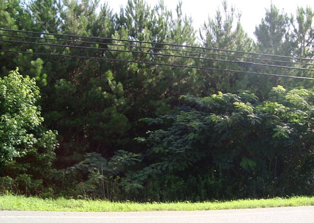 2nd image of 131 Dawnville Rd