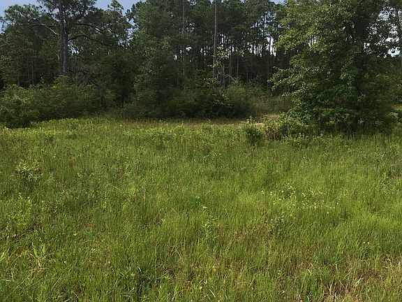 4th image of 4801 E Bay Dr