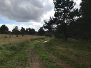 555 Foster Ave, Freeland, PA 18224