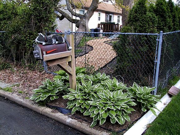 Side view of backyard