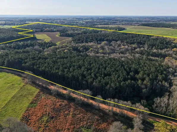 0 Lower Bozeman Rd, Brantley, AL 36009