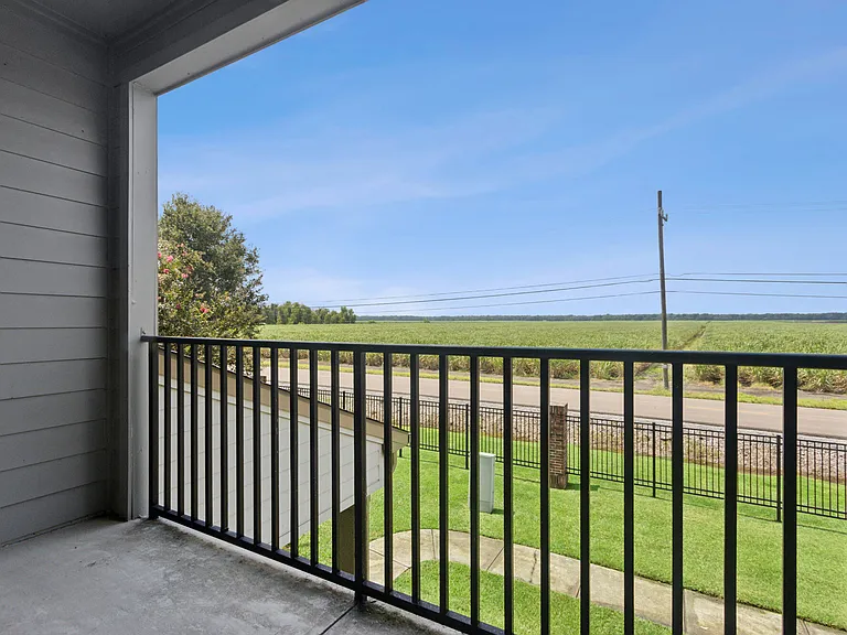 Bayou Reserve — Photo 11