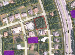 70 Raintree Pl, Palm Coast, FL 32164