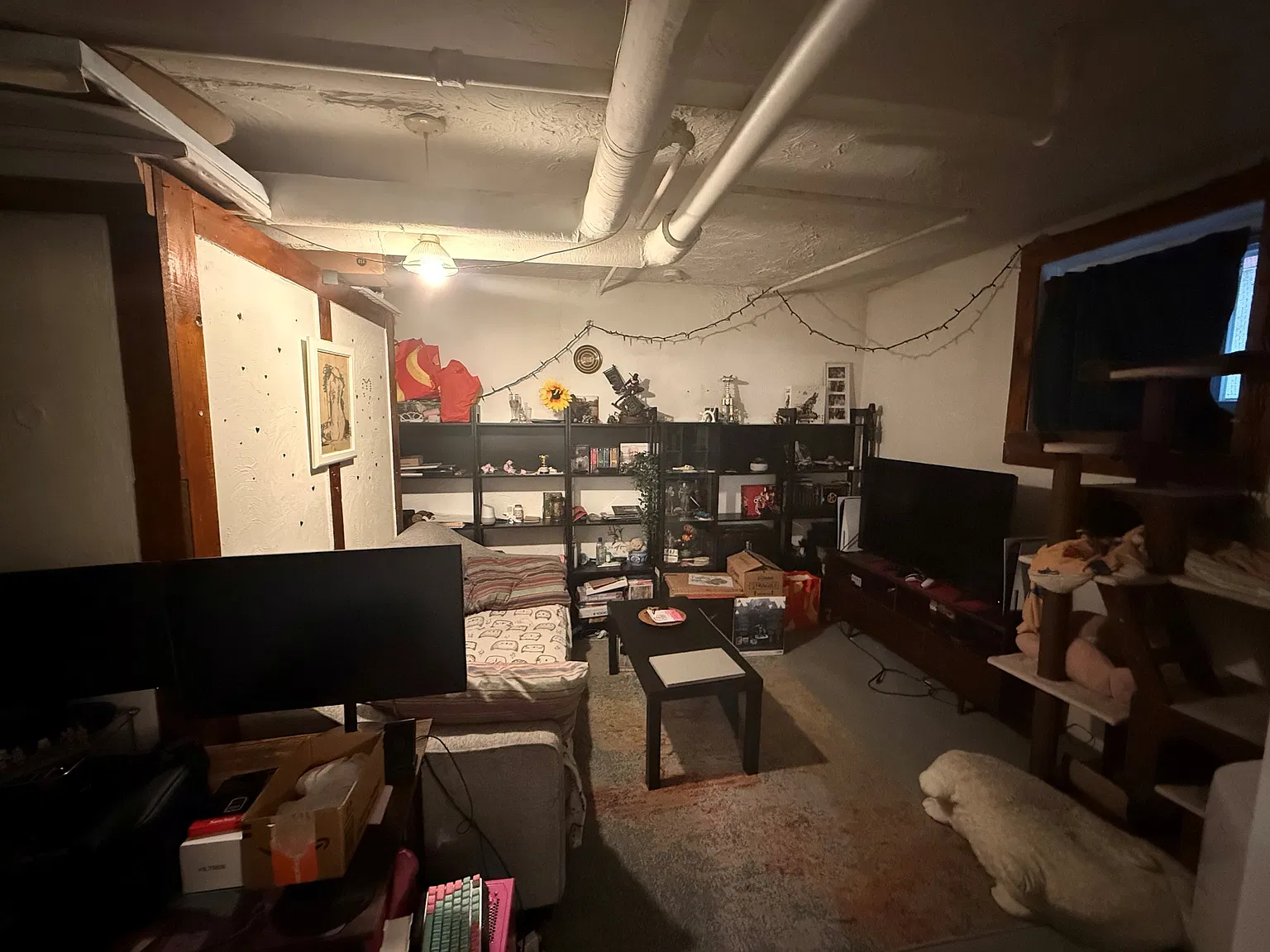 1 bed, $1,450 — Photo 3