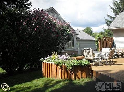 Back Yard & Deck