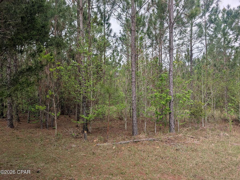 2nd image of 0 Sumac Rd Lot 49