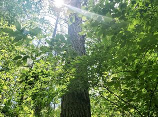 Polk Rd #153, Hatfield, AR 71945