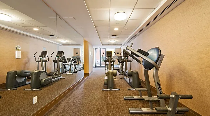 Rented by Level Group | media 25