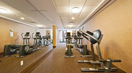 Rented by Level Group