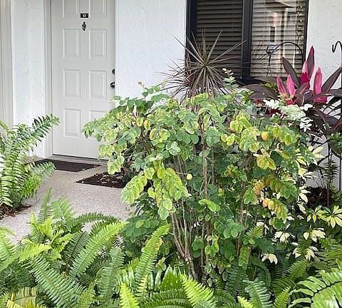 5th image of 2232 N Cypress Bend Drive #101