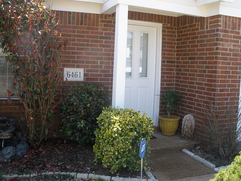 Welcome Home to 6461 Palace View