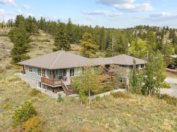 131 Hurricane Hill Dr, Nederland, CO 80466