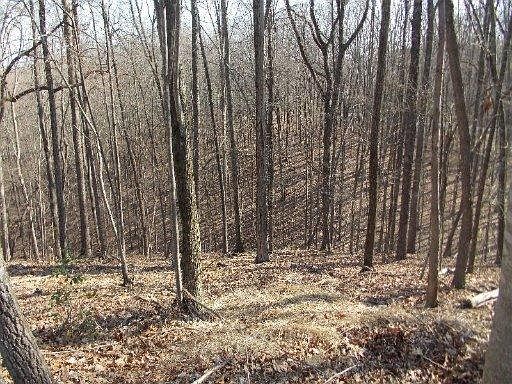 1st image of 14 Trentwood Ter