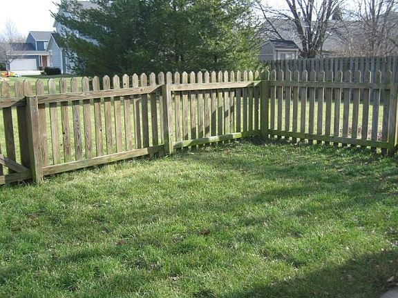 Evergreen trees in the corners of the yard